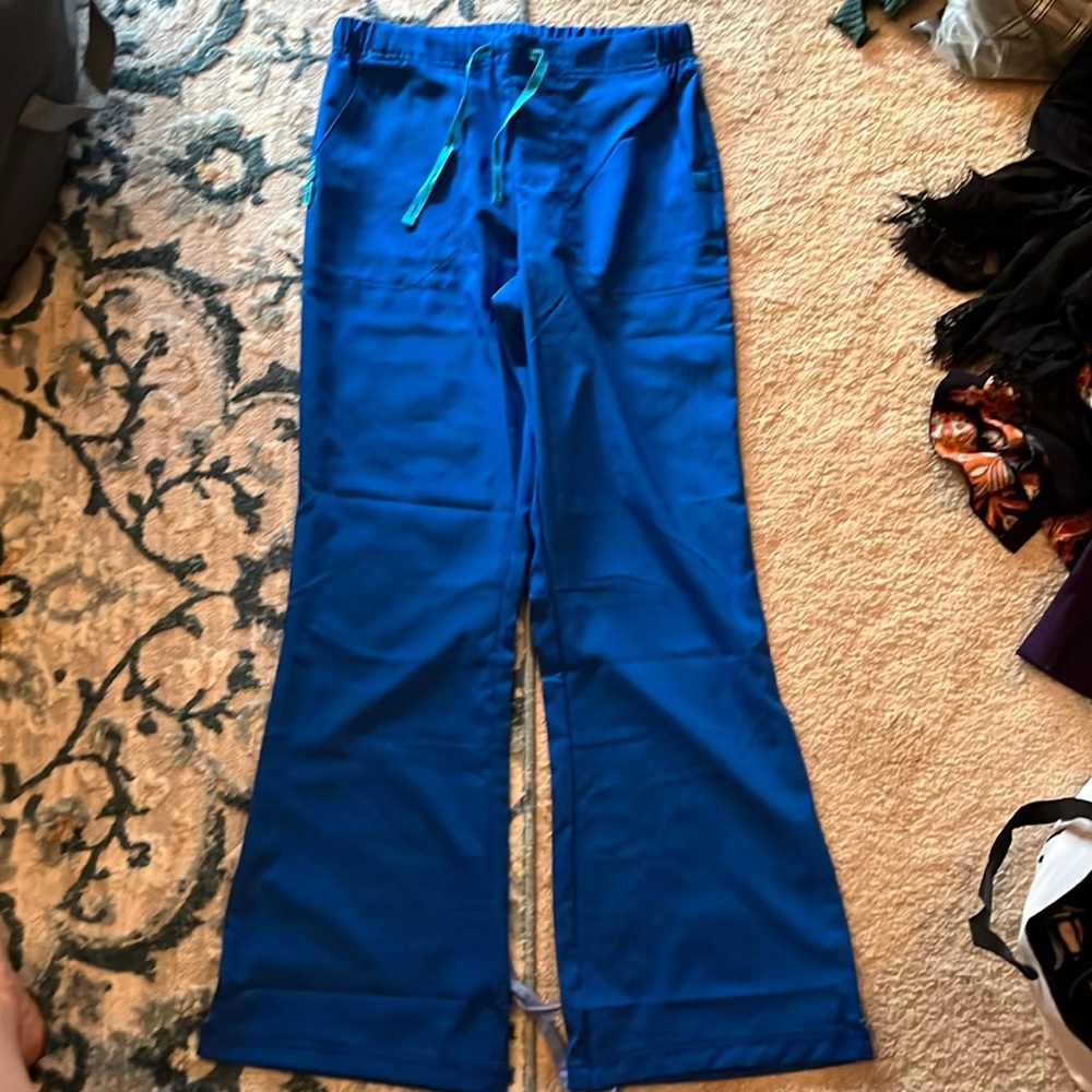 NWOT, tag fell off. Bright blue scrub pant by carhartt. Size small.